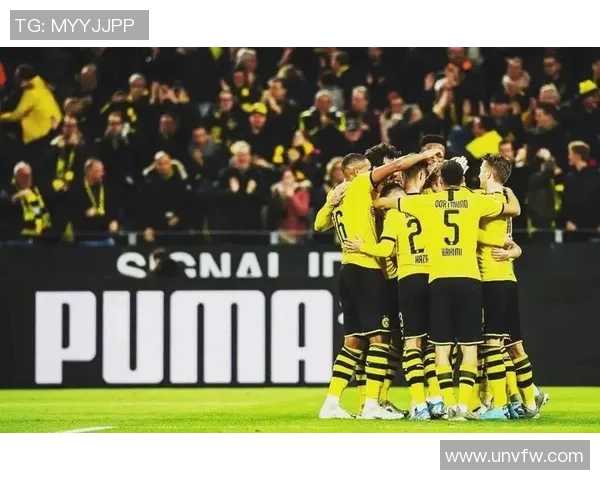 多特主场大胜霍芬海姆，成功保住欧冠资格